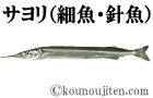 サヨリ（細魚・針魚）